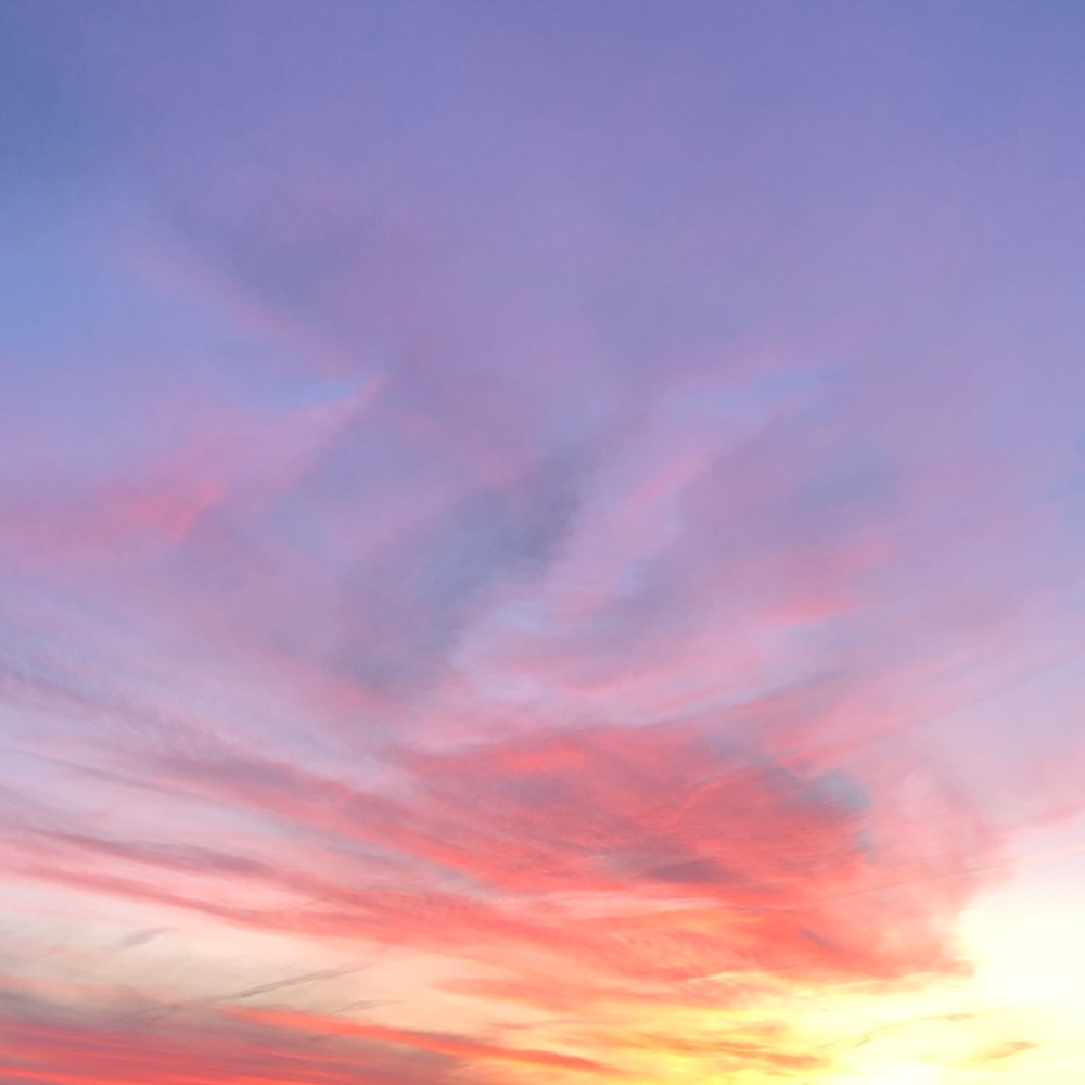 Meet your Posher, Gabriella